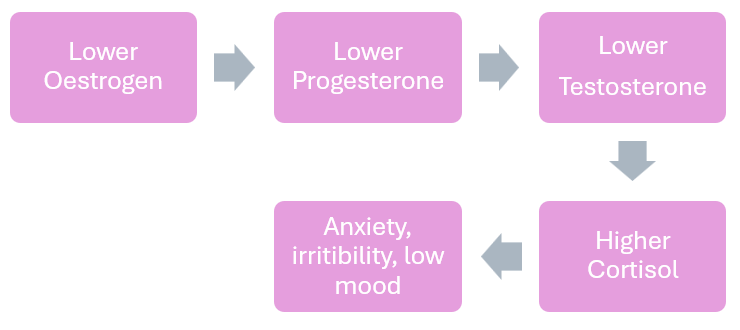 A diagram showing the link between the mind and body in menopause